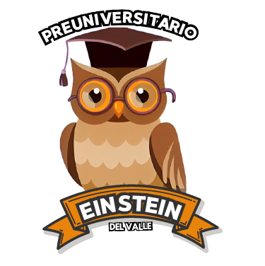 Preuniversitario Einstein del Valle